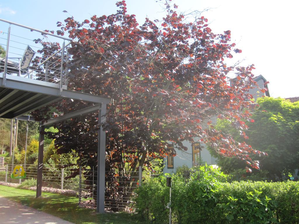Apartment Haus Sembachtal Winterstein Kültér fotó