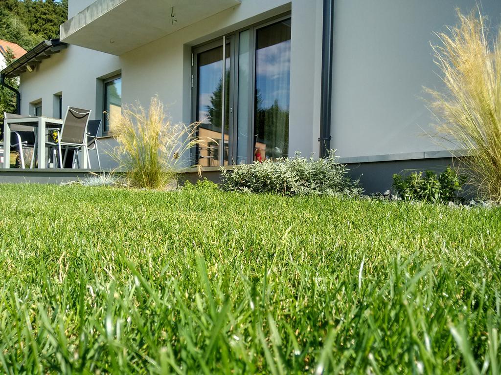 Apartment Haus Sembachtal Winterstein Kültér fotó